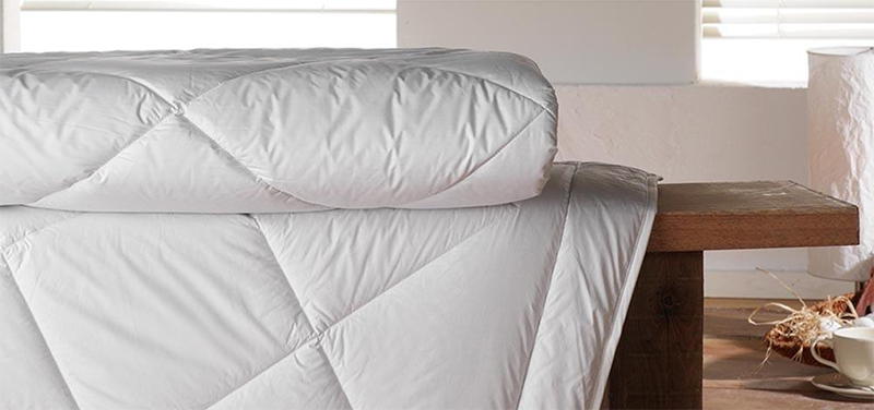 "THE MOST COMFORTABLE"<br><h2>100% Organic Cotton Canadian Hutterite Down