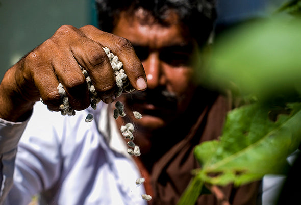 <p1>Partnering<p></p></p1>