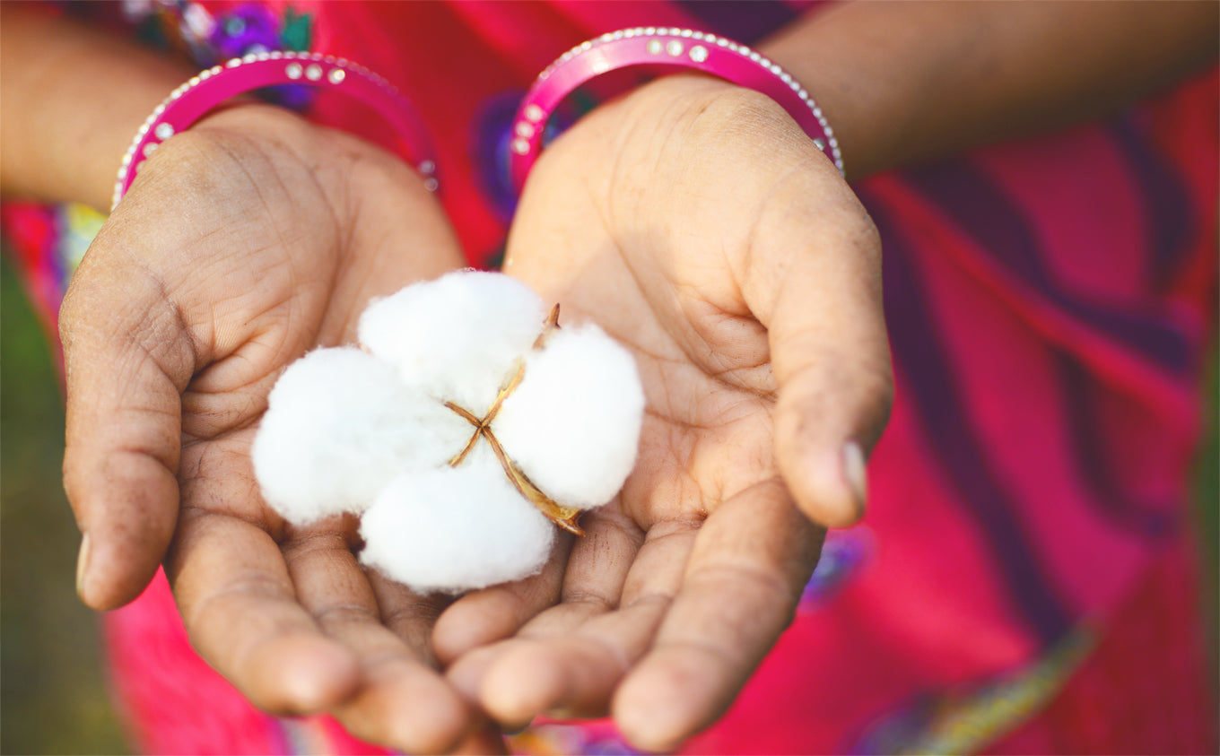 The Importance of Organic Cotton