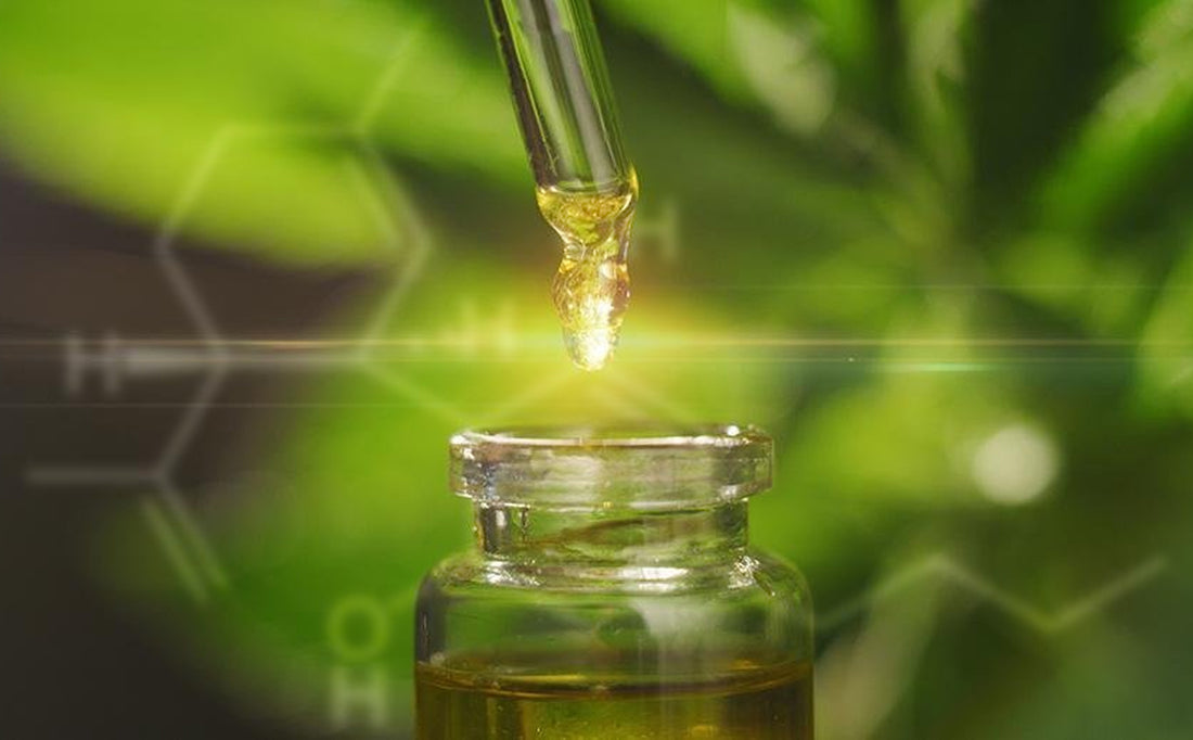 CBD Oil & Sleep: Everything You Need to Know