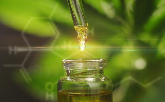 CBD Oil & Sleep: Everything You Need to Know