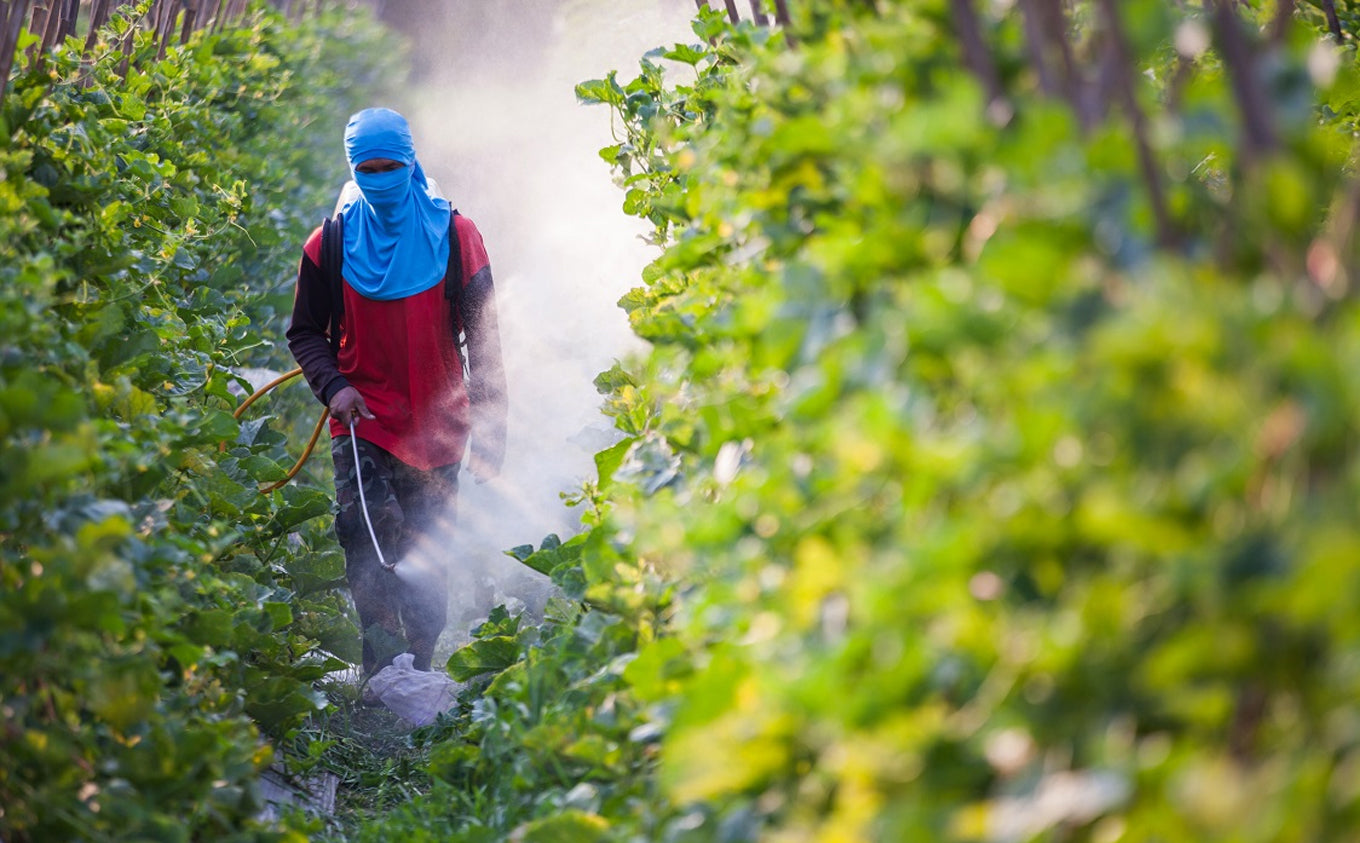 Glyphosate, the “not so” silent killer