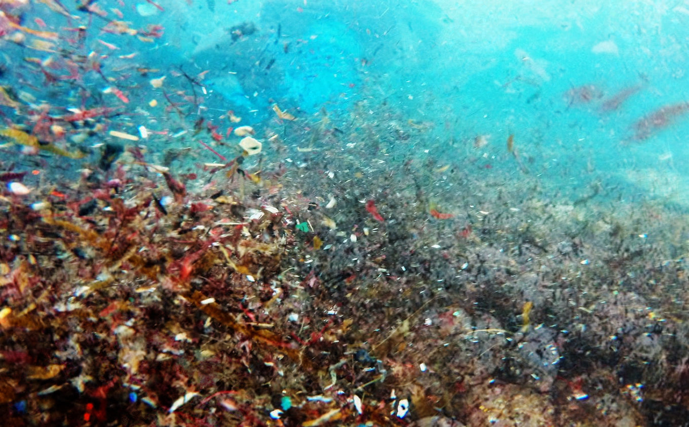 Microplastic Pollution: How You Can Help Solve The Problem - SOL Organics