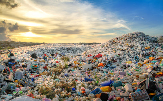 9 Simple Ways to Cut Down on Your Plastic Use