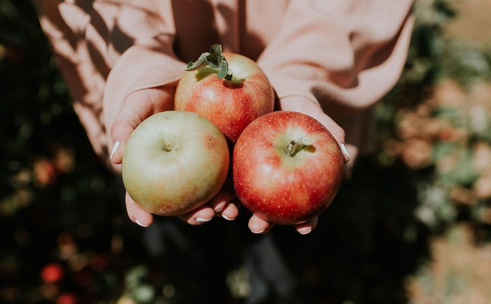 14 Zero Waste Fall Activities