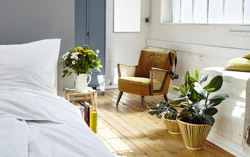 Organic Cotton Duvet Covers