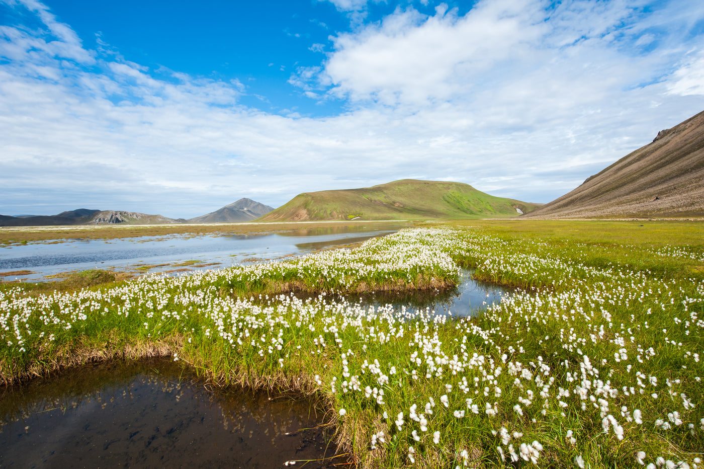 <p1>Organic Cotton</p1>